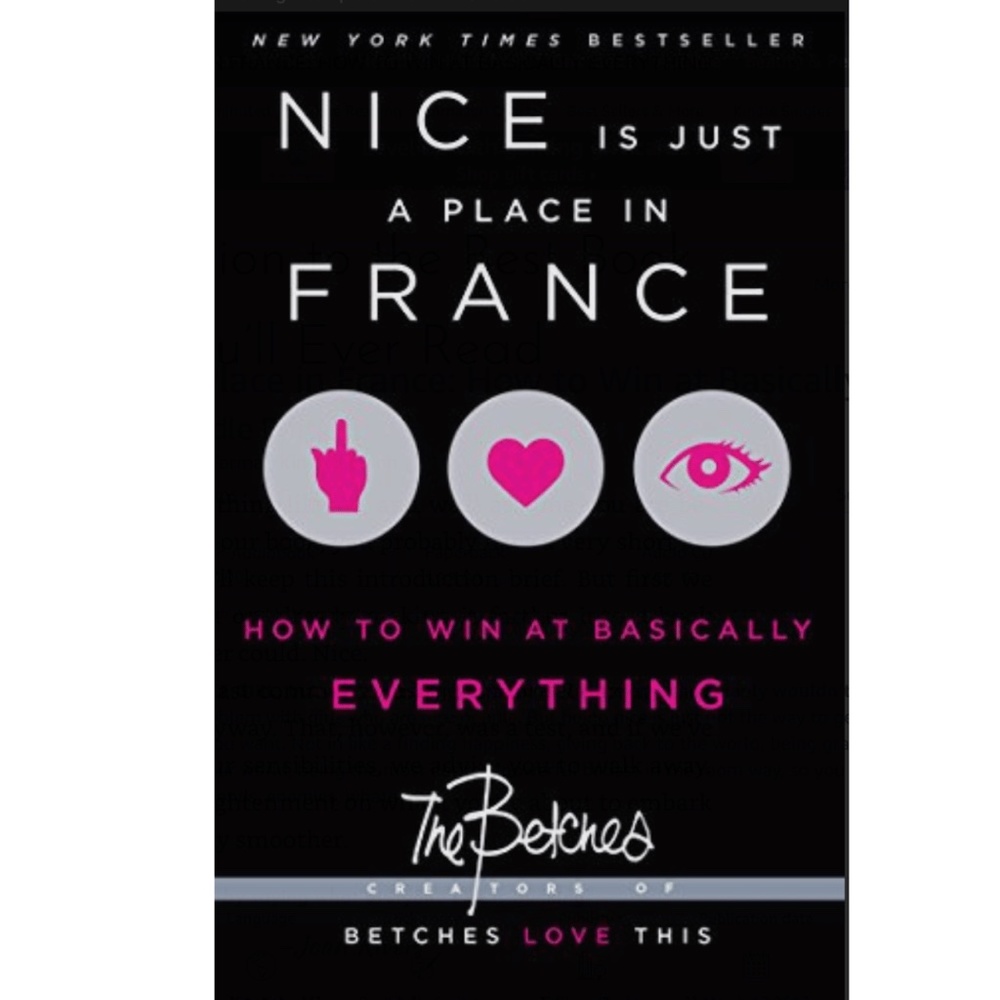Nice Is Just A Place In France Used Book For Teens/Young Adults